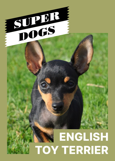 super-puper-vote-img