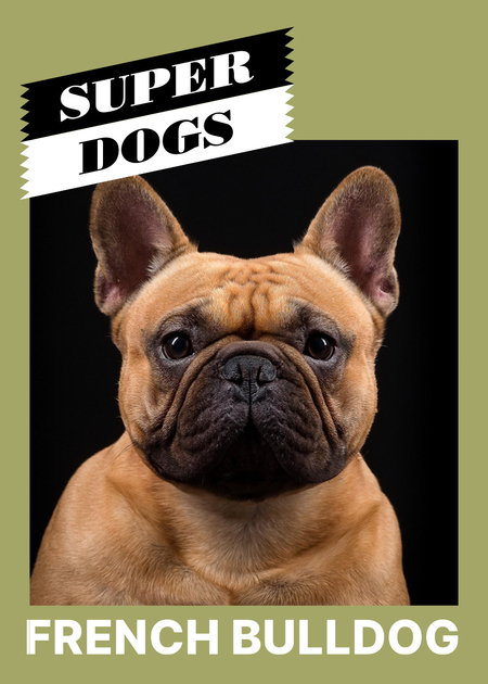 super-puper-vote-img