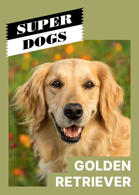 super-puper-vote-img