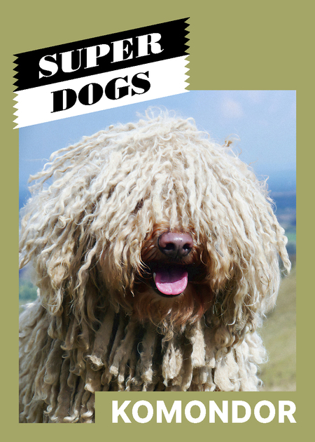 super-puper-vote-img