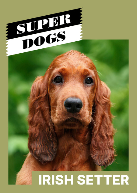 super-puper-vote-img