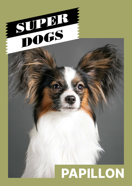 super-puper-vote-img