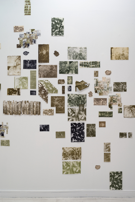 super-puper-vote-img