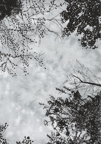 super-puper-vote-img