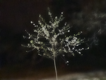 super-puper-vote-img