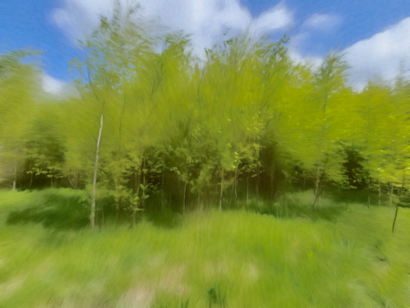 super-puper-vote-img