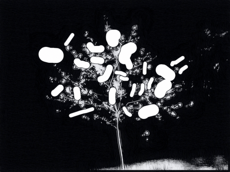 super-puper-vote-img