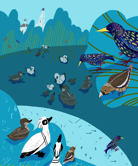 super-puper-vote-img