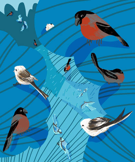 super-puper-vote-img