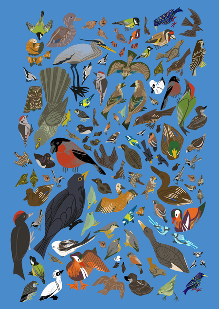 super-puper-vote-img