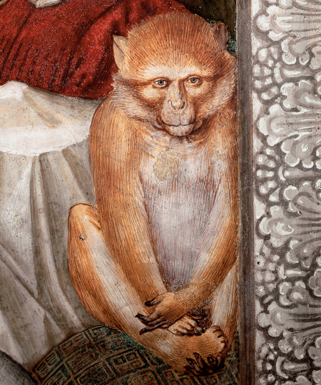 super-puper-vote-img