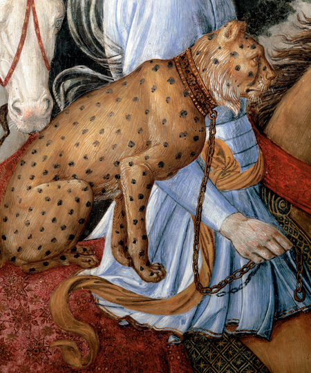 super-puper-vote-img