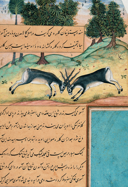 super-puper-vote-img