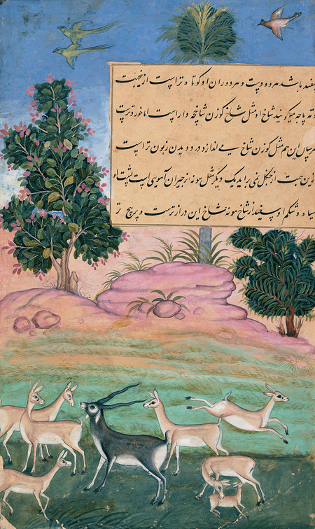 super-puper-vote-img