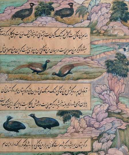 super-puper-vote-img