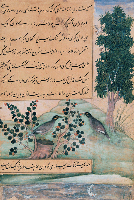 super-puper-vote-img