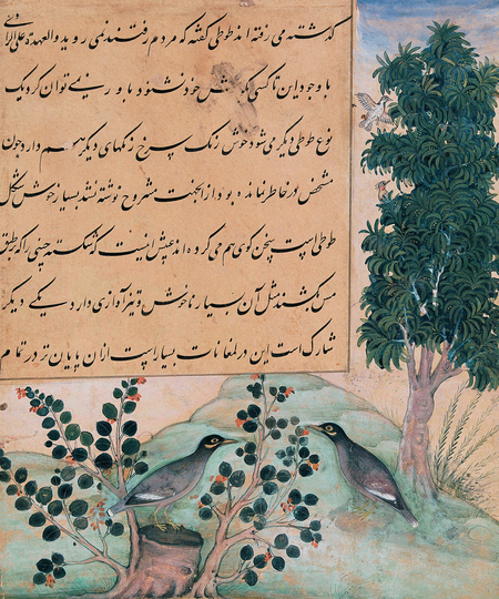 super-puper-vote-img