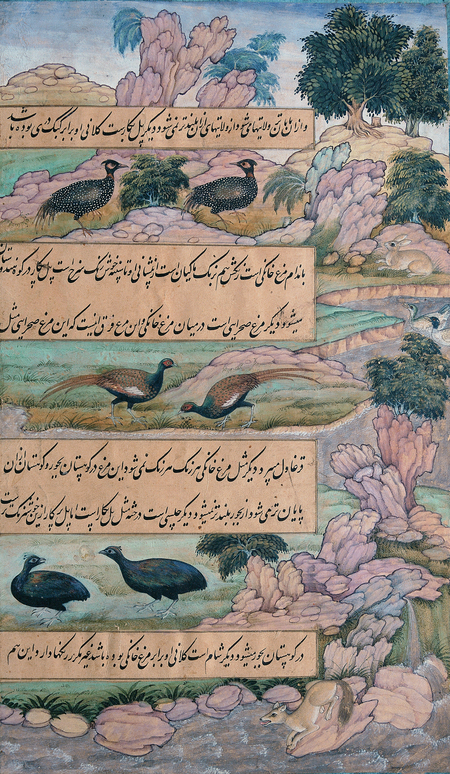 super-puper-vote-img