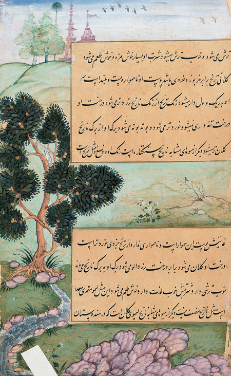 super-puper-vote-img