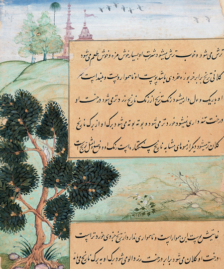 super-puper-vote-img