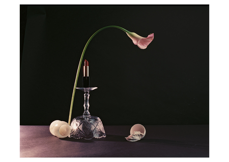 super-puper-vote-img