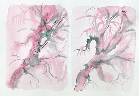 super-puper-vote-img