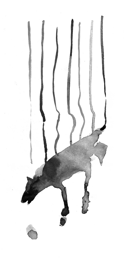 super-puper-vote-img