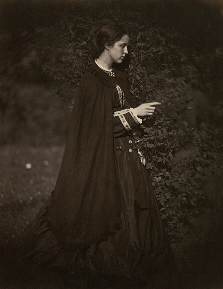 super-puper-vote-img