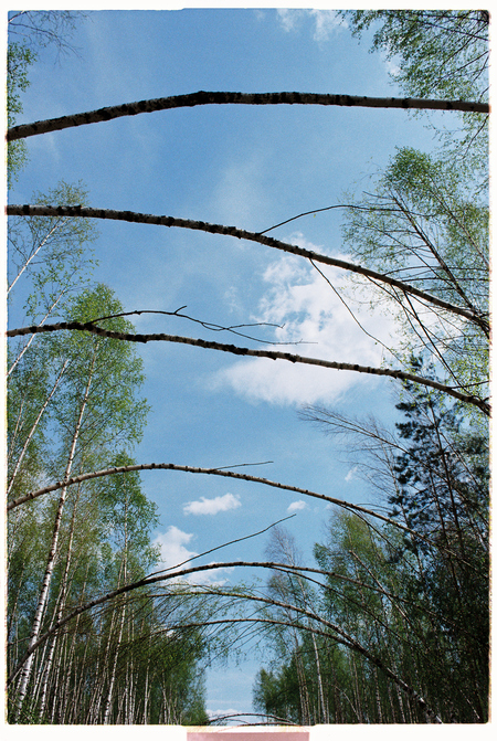 super-puper-vote-img