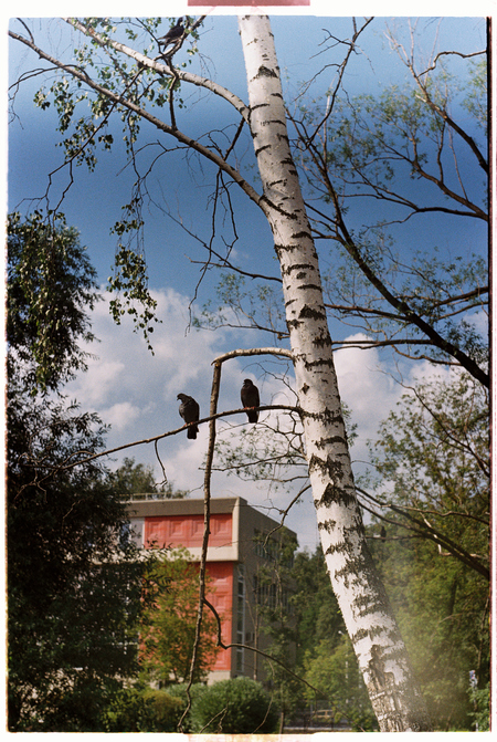 super-puper-vote-img