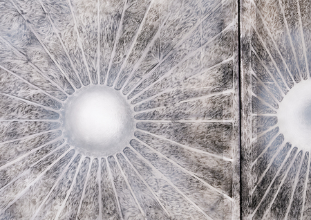 super-puper-vote-img