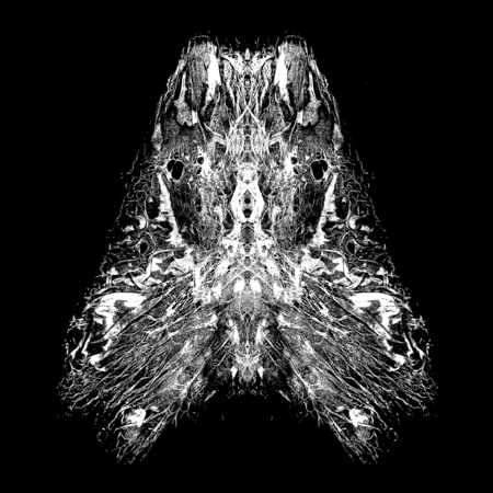 super-puper-vote-img