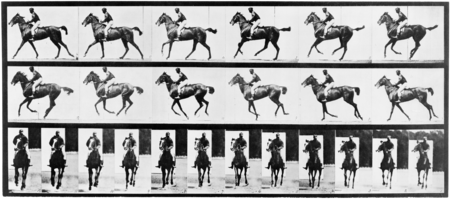 super-puper-vote-img