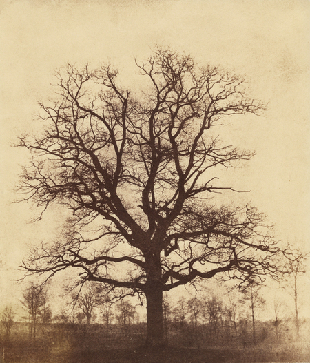 super-puper-vote-img