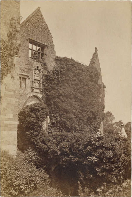 super-puper-vote-img