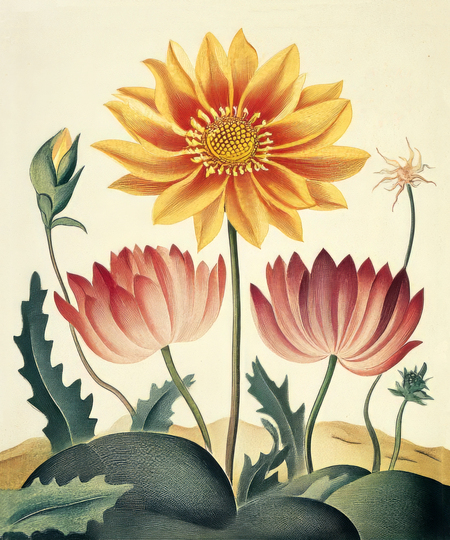 super-puper-vote-img