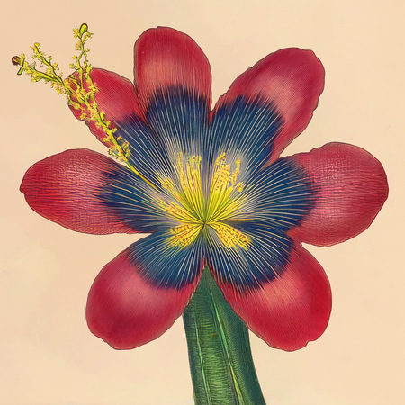 super-puper-vote-img