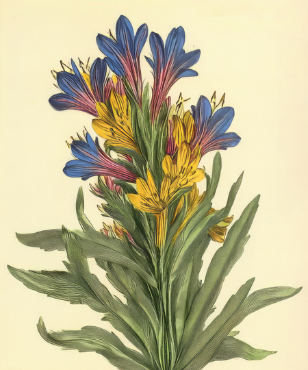 super-puper-vote-img