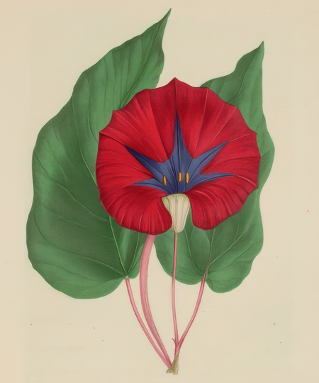 super-puper-vote-img