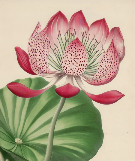 super-puper-vote-img