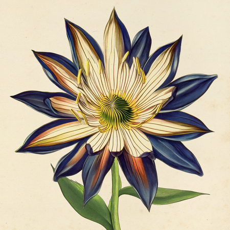 super-puper-vote-img