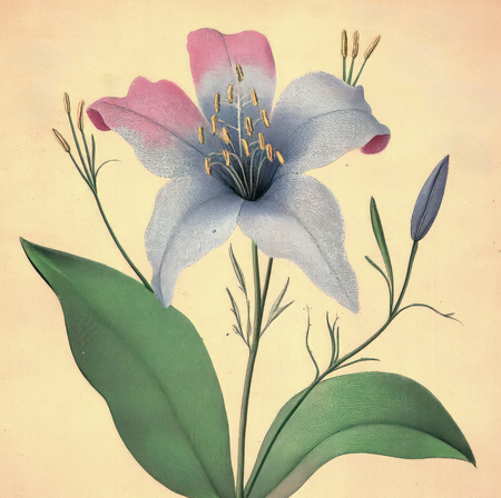 super-puper-vote-img