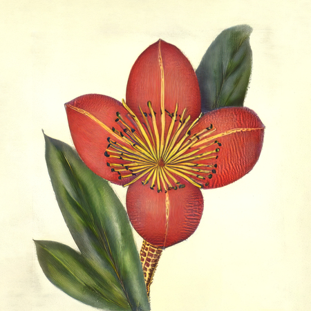 super-puper-vote-img