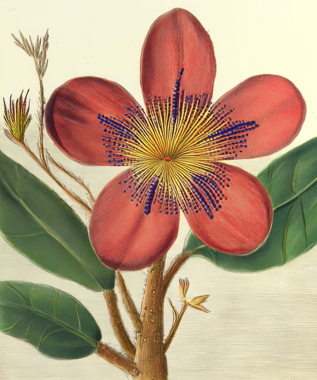 super-puper-vote-img