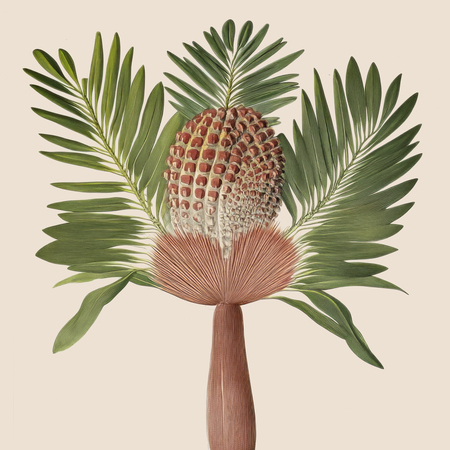 super-puper-vote-img