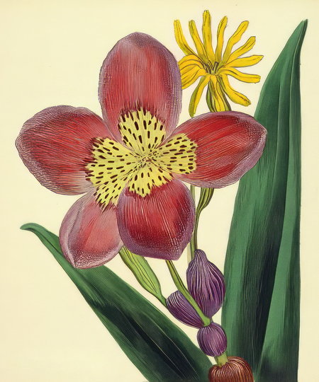 super-puper-vote-img