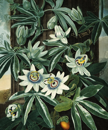 super-puper-vote-img