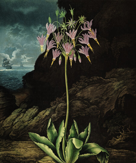 super-puper-vote-img