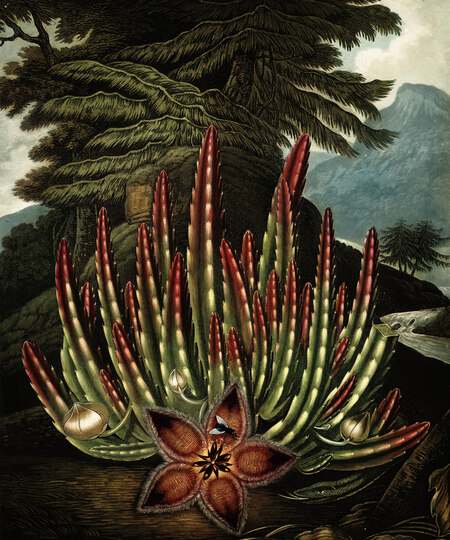 super-puper-vote-img