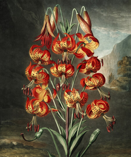 super-puper-vote-img